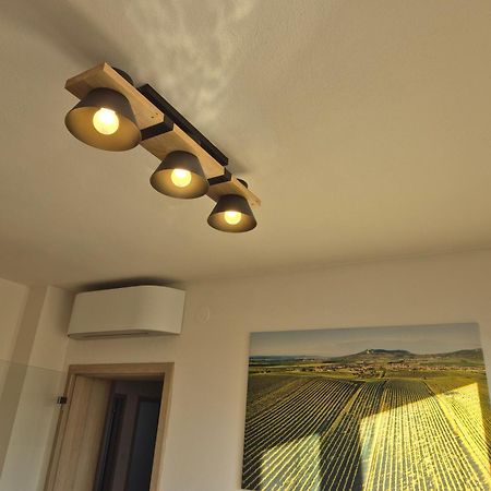 Apartman Vital Na Palave - Ubytovani & Zivotni Restart Pasohlávky Exteriér fotografie