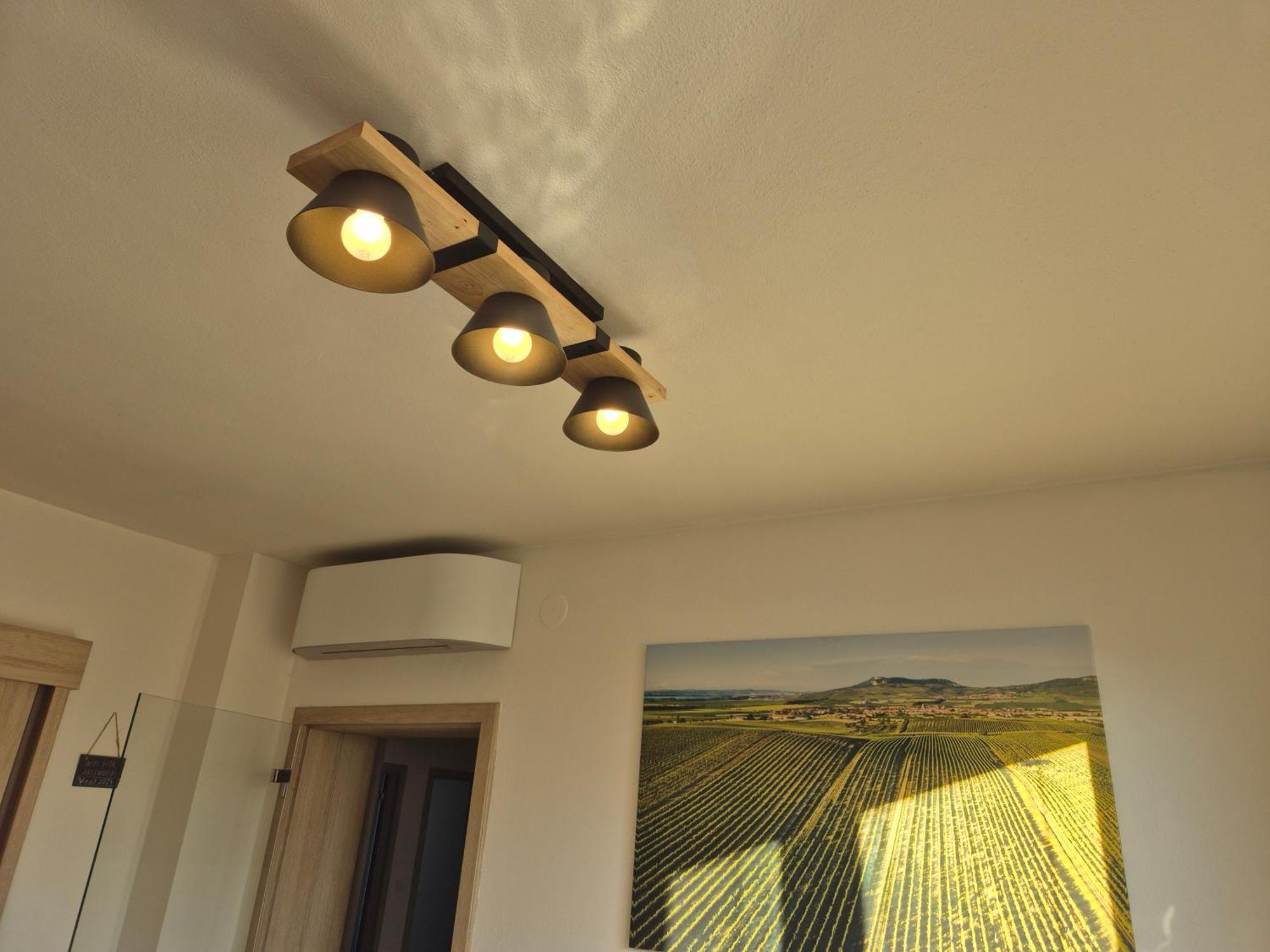Apartman Vital Na Palave - Ubytovani & Zivotni Restart Pasohlávky Exteriér fotografie
